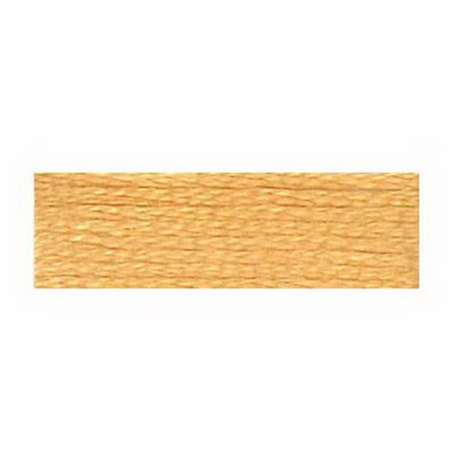 Embroidery Floss 8.7yd 12ct PALE GOLDEN BROWN BOX12