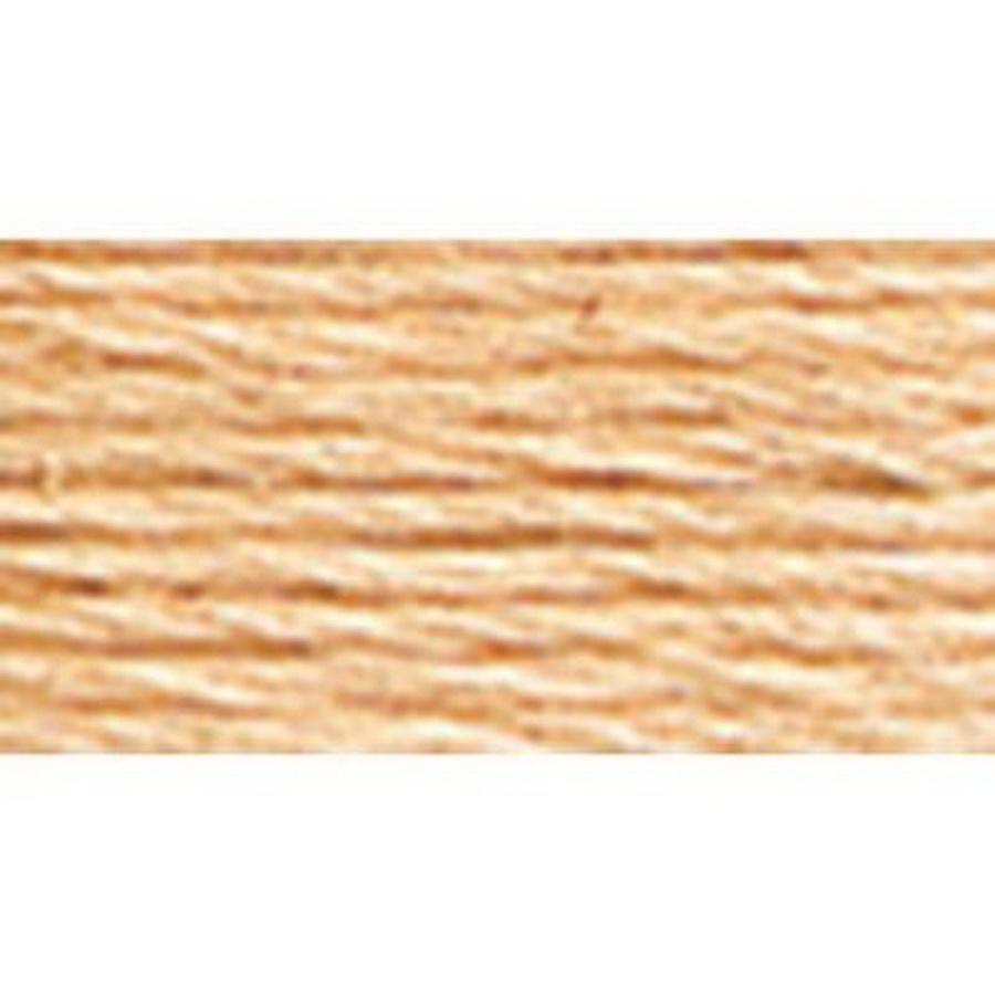 Embroidery Floss 8.7yd 12ct TAWNY BOX12