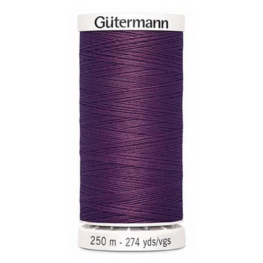 Gutermann Natural Cotton 50wt 250m ECRU (Box of 5)