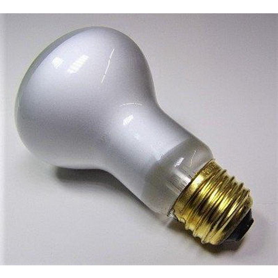Bulb Seal Beam screw 120v 30w