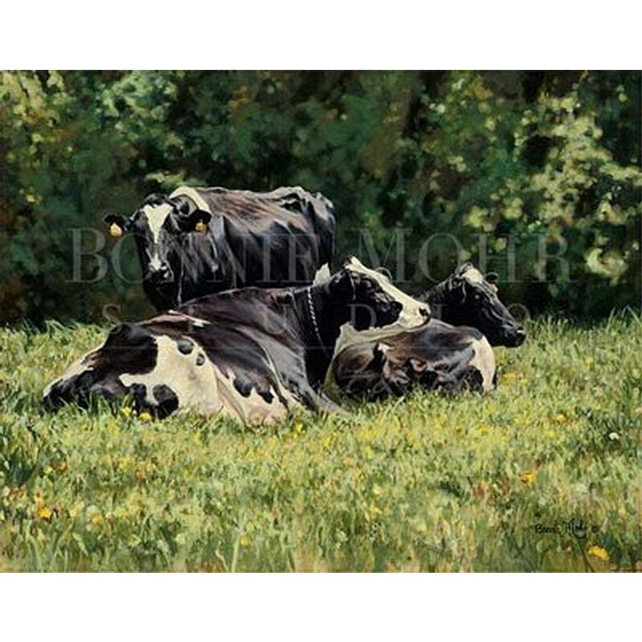The Beautiful Cow-Notecards