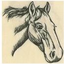 Anita Goodesign Horse Sketches (DC) 111MAGHD