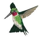 Anita Goodesign Hummingbirds