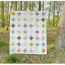 Seams Sew Me Quilt Pattern - Winsome Windows