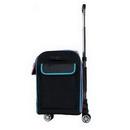 The Goat Tote - The Rolling Goat 2.0 - Carnivale