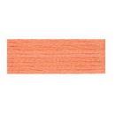 Embroidery Floss 8.7yd 12ct APRICOT BOX12