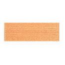Embroidery Floss 8.7yd 12ct PALE PUMPKIN BOX12