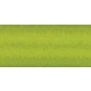 Silk 100wt 219yd 5 Count BRIGHT LIME GREEN
