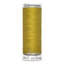Gutermann Pure Silk Thrd 100m -  Mustard Seed (Box of 3)