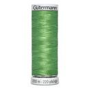Dekor Rayon Thread 40wt 200m 3ct- Green Leaf