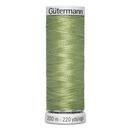 Dekor Rayon Thread 40wt 200m 3ct- Avocado Green