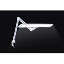 Daylight Lumi LED Task Lamp - U35500