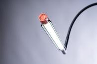 Daylight Techne 2 Artist & Drafting Lamp