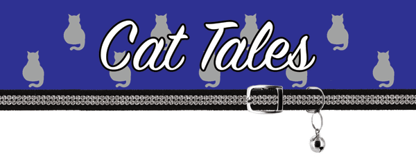 Cat Tales Embroidery CD w/ SVG