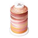 Exquisite Medley Variegated Thread - 103 Flamingo 1500M Spool