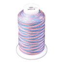 Exquisite Medley Variegated Thread - 113 Carnival
