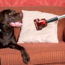 Fuller Brush Jiffy Maid Bagless Upright Pet Vacuum