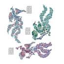 Momo-Dini Embroidery Designs - Dancing Birds (1000164)