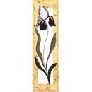 Patch Abilities - Iris Pattern 6 inches x 21 inches