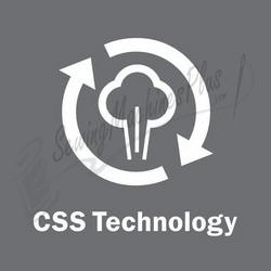 Click for larger view of CSS Technology