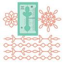 Sew Steady Elevate Ruler Club Box