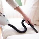 Simplicity Flash Multi-Use Handheld Vacuum